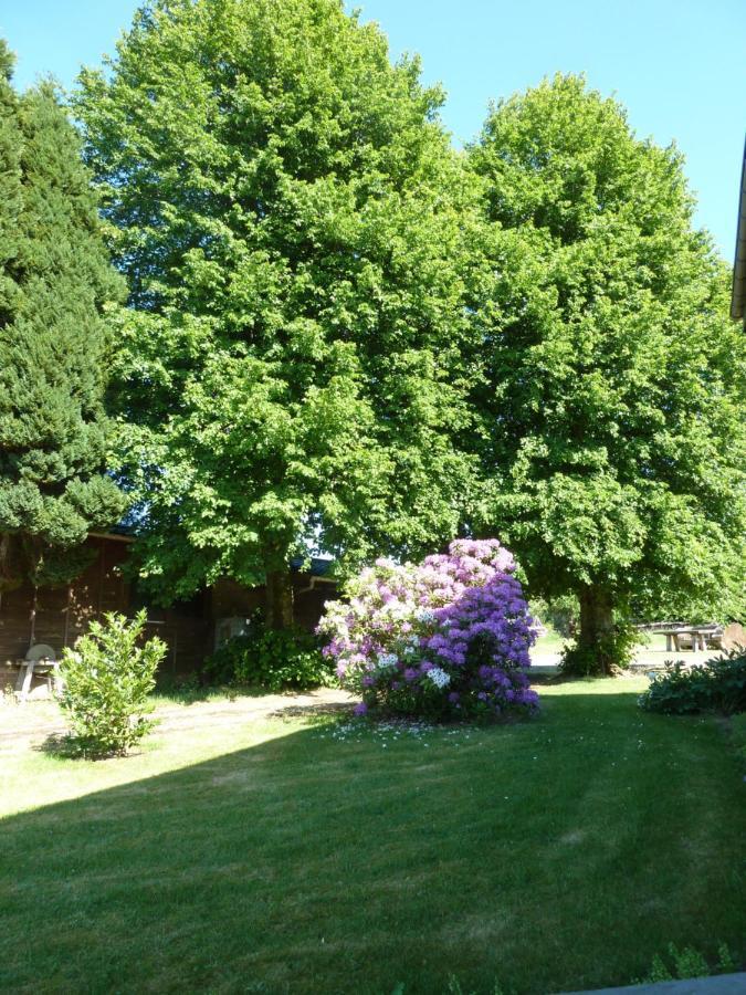 'Chez Lulu' - Gite Cocon Avec Bain Nordique Ardenne Nassogne Exterior photo